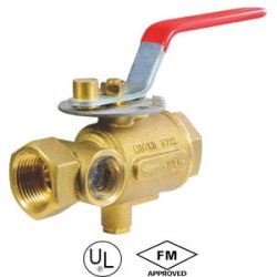 10-Test-and-drain-valve